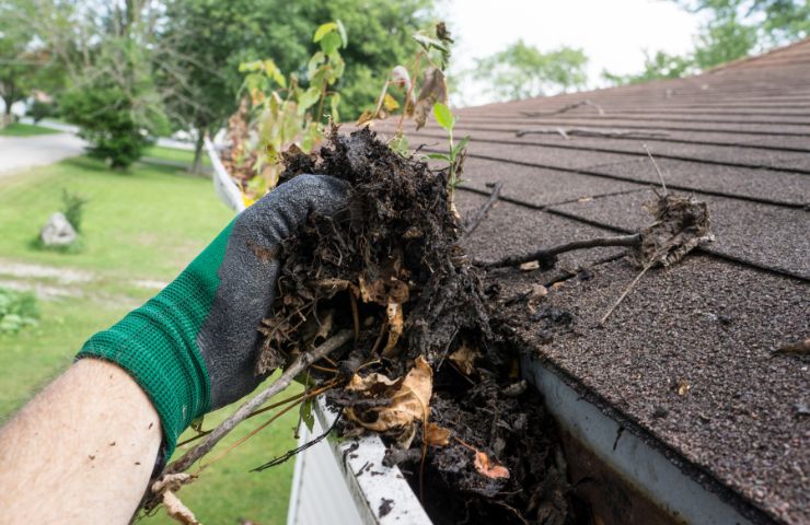 Why choose New Orleans Gutter Crew for gutter contractors in New Orleans