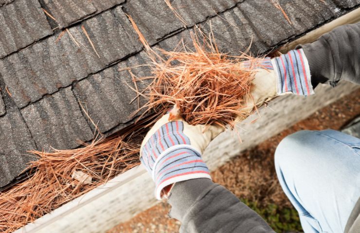 About New Orleans Gutter Cleaning Crew - gutter cleaning experts in New Orleans